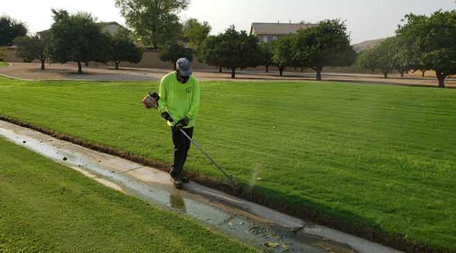 ELS Maintenance and Construction Inc project